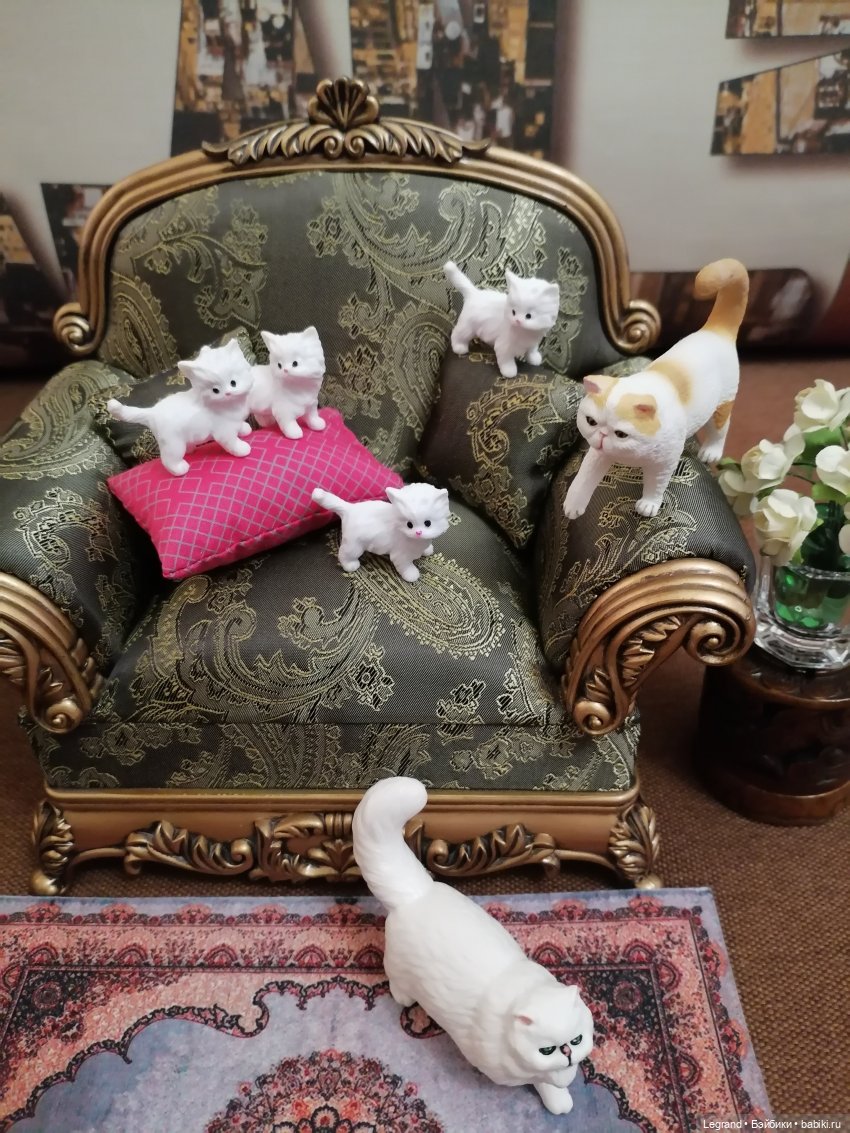 Лурения - День котят с Кадиром и Люкрес