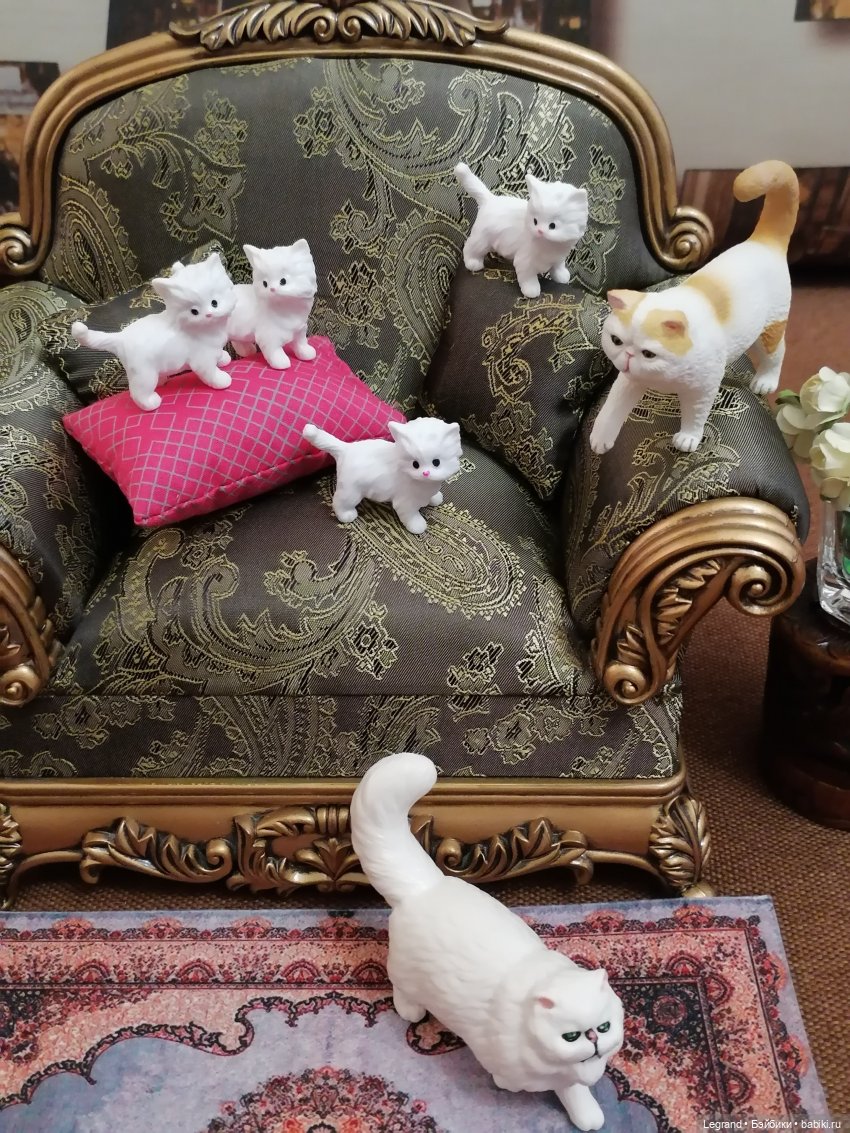 Лурения - День котят с Кадиром и Люкрес