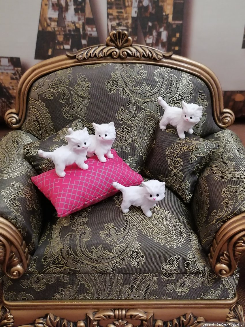 Лурения - День котят с Кадиром и Люкрес