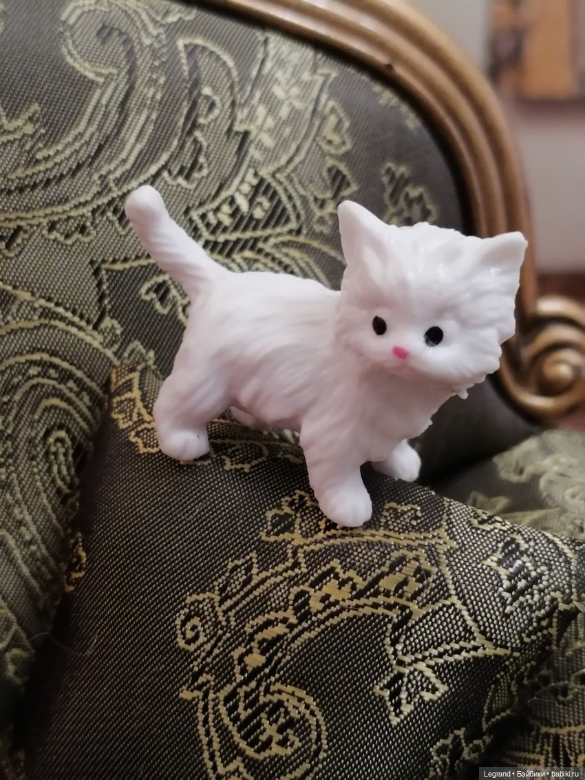 Лурения - День котят с Кадиром и Люкрес (фото 8)