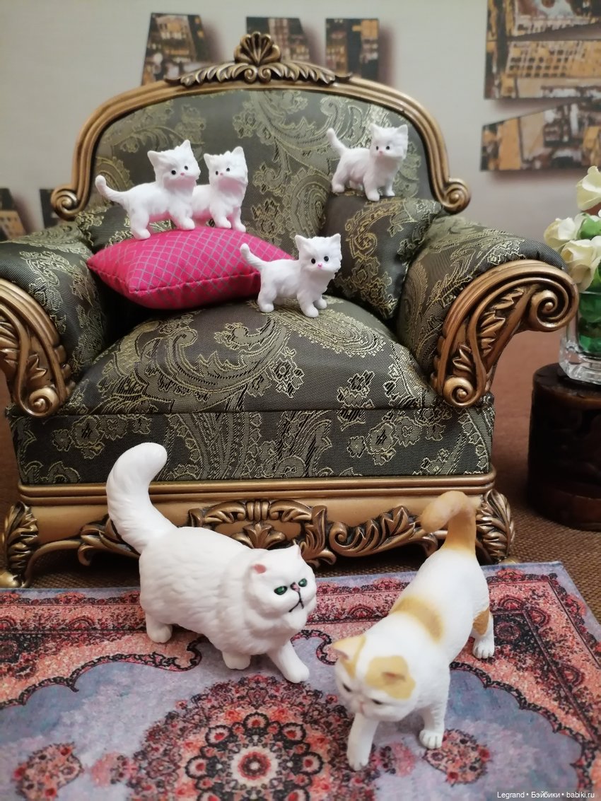 Лурения - День котят с Кадиром и Люкрес