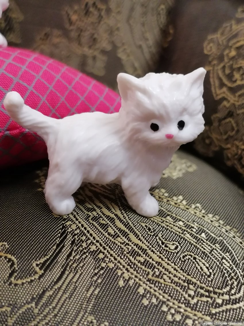 Лурения - День котят с Кадиром и Люкрес