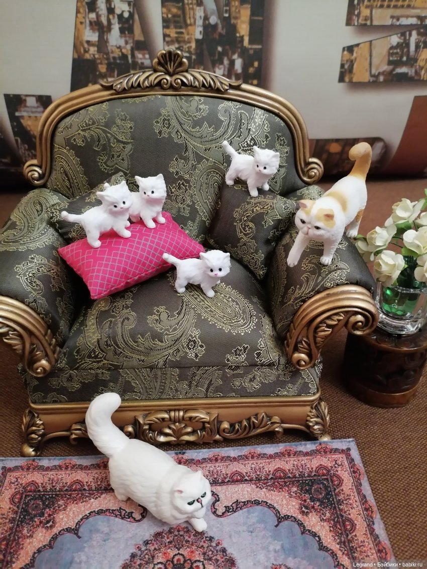 Лурения - День котят с Кадиром и Люкрес