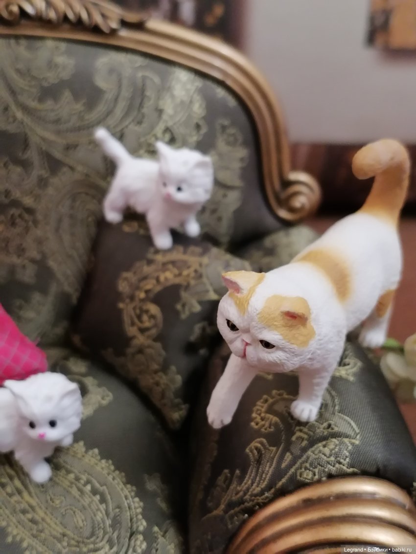 Лурения - День котят с Кадиром и Люкрес