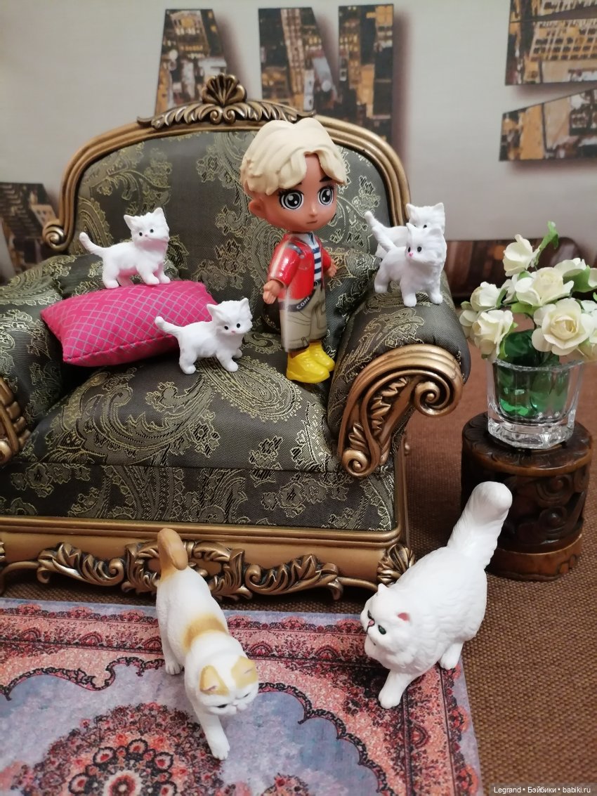 Лурения - День котят с Кадиром и Люкрес