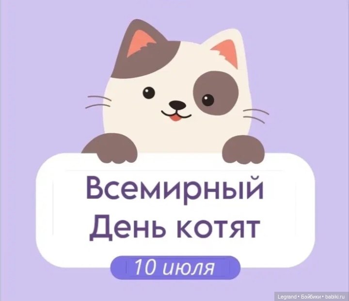 Лурения - День котят с Кадиром и Люкрес