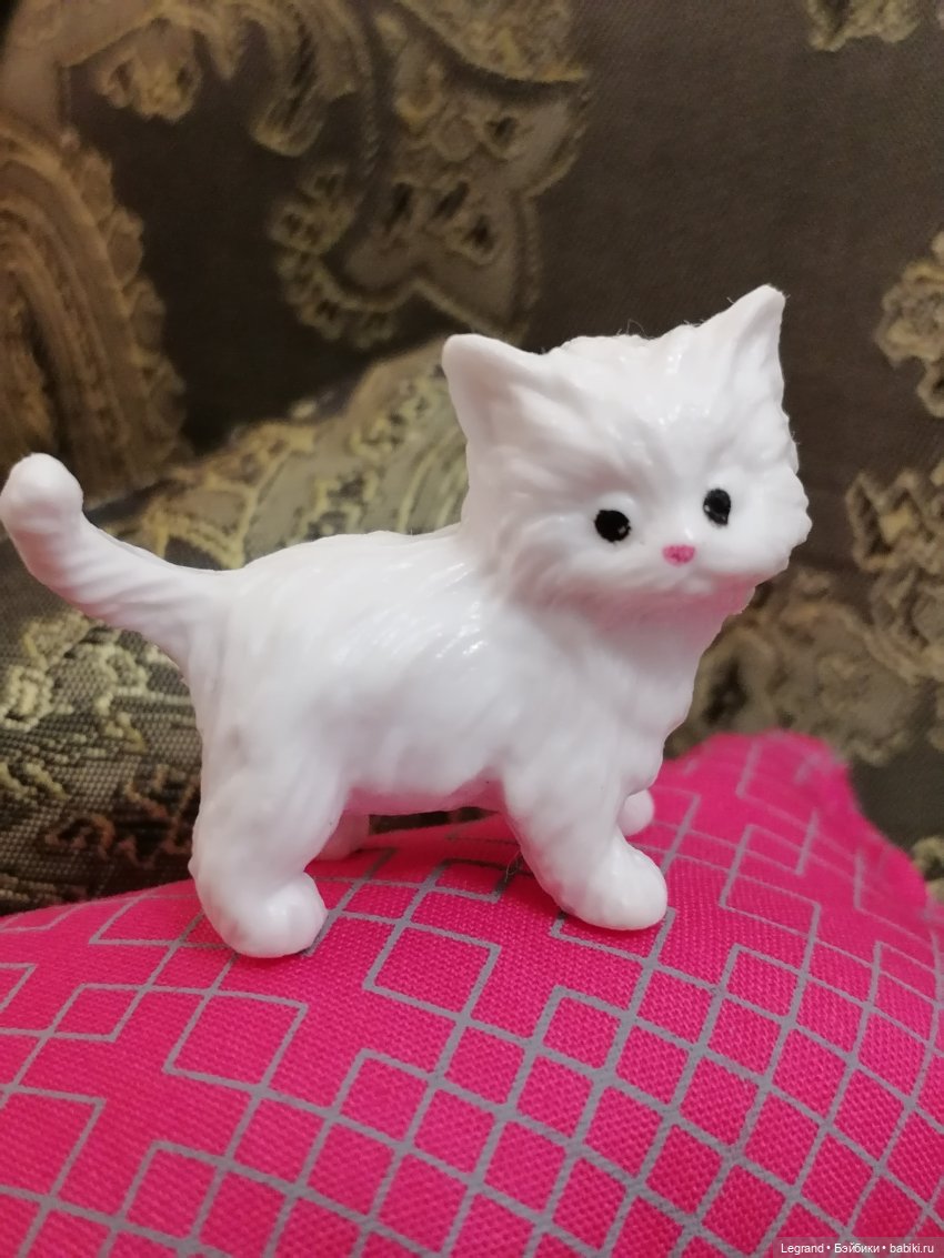 Лурения - День котят с Кадиром и Люкрес (фото 10)