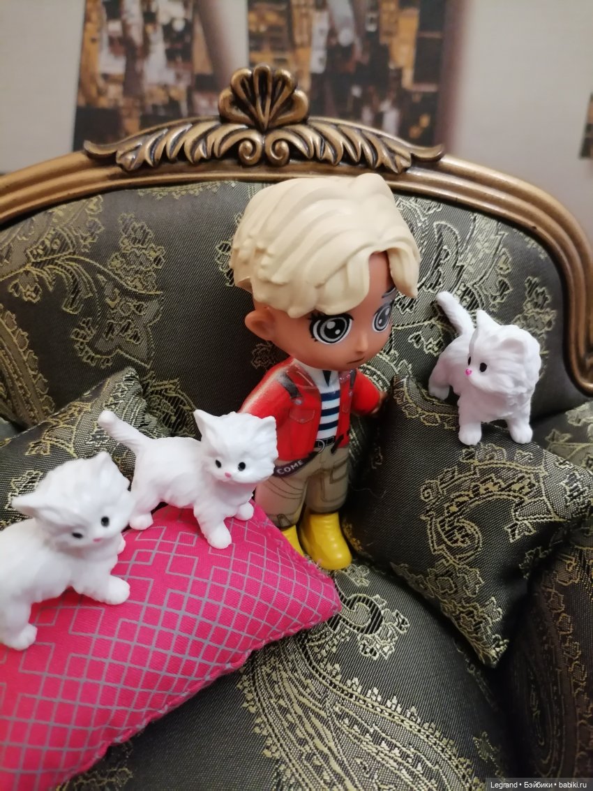 Лурения - День котят с Кадиром и Люкрес