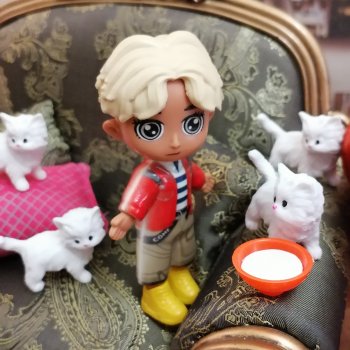 Лурения - День котят с Кадиром и Люкрес