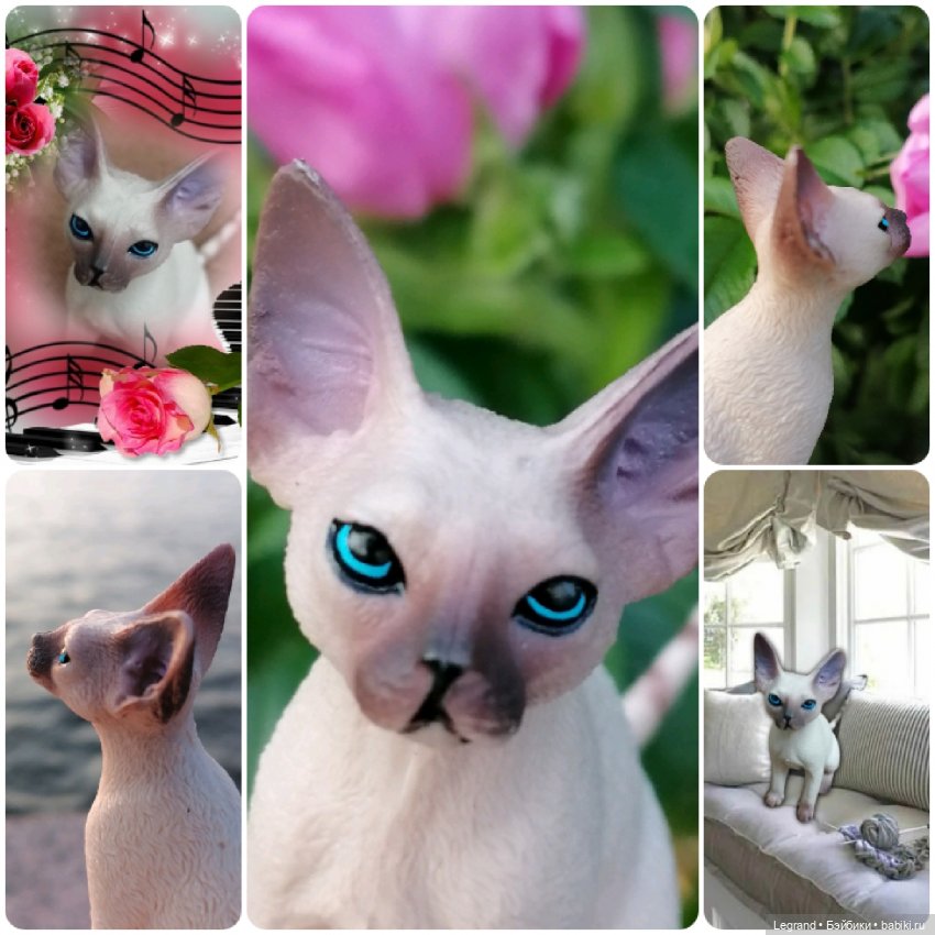 Лурения: перепись кошачьих - 2025 🤗 (фото 6)