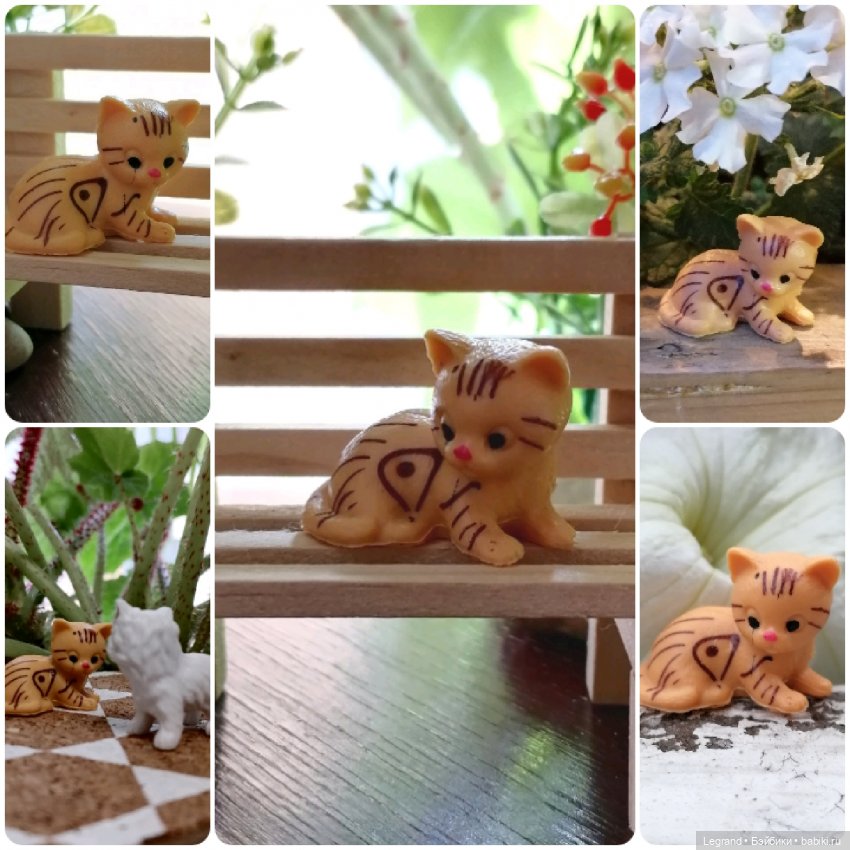 Лурения: перепись кошачьих - 2025 🤗