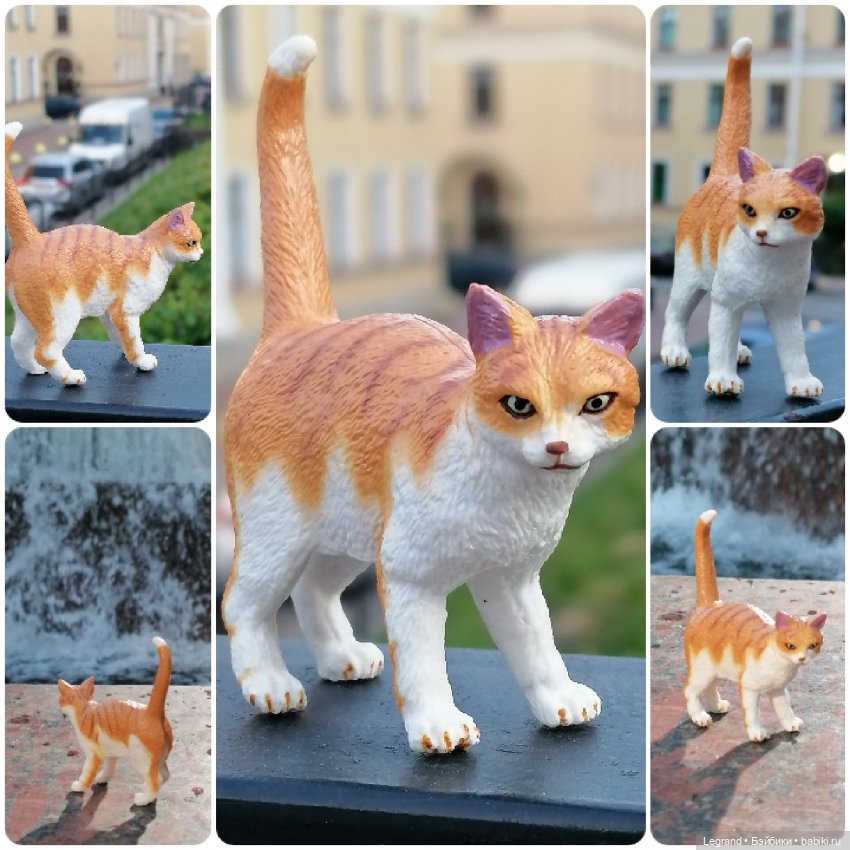 Лурения: перепись кошачьих - 2025 🤗