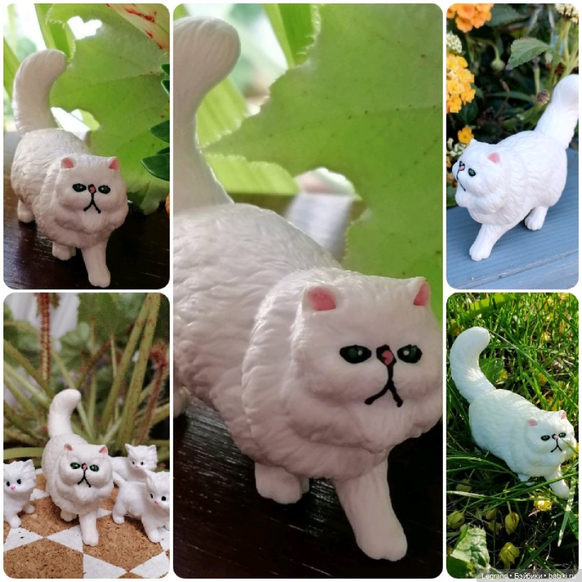 Лурения: перепись кошачьих - 2025 🤗 (фото 10)