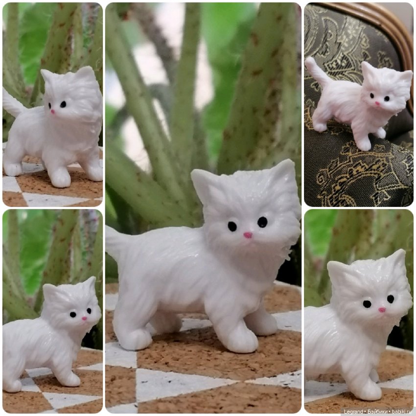 Лурения: перепись кошачьих - 2025 🤗