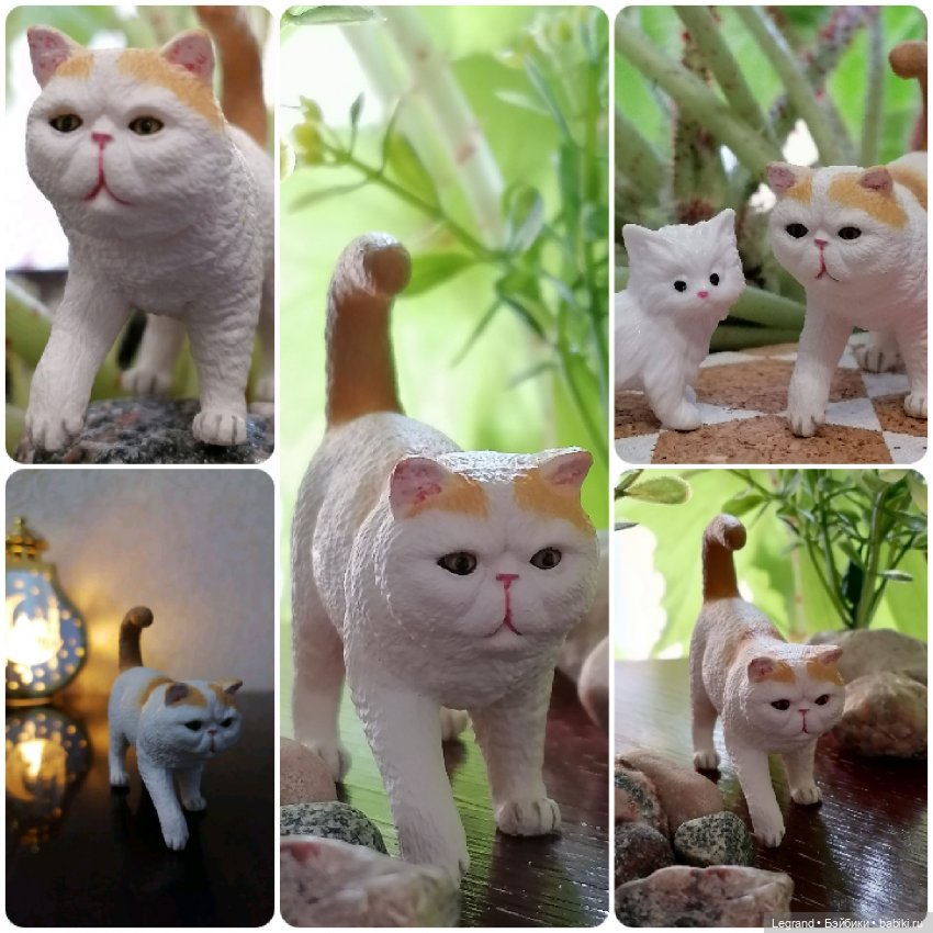 Лурения: перепись кошачьих - 2025 🤗 (фото 8)