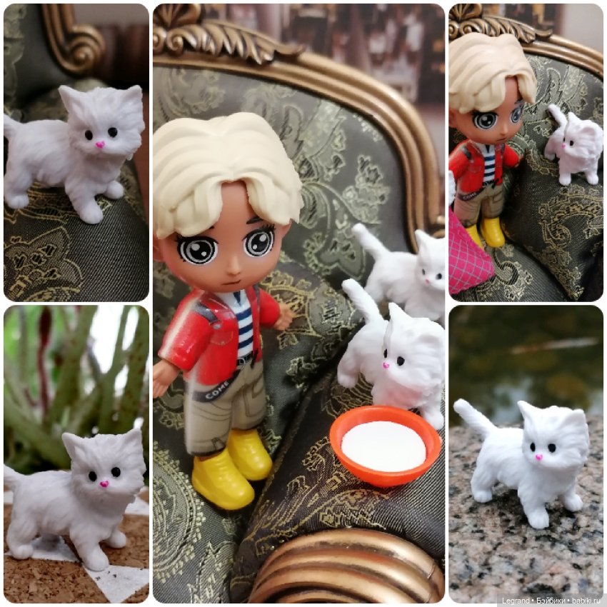 Лурения: перепись кошачьих - 2025 🤗