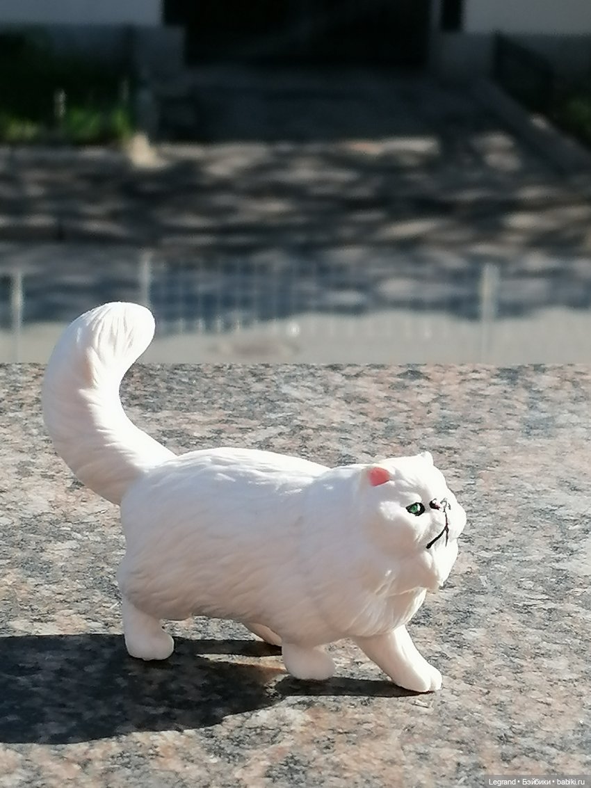 Лурения: перепись кошачьих - 2025 🤗 (фото 9)