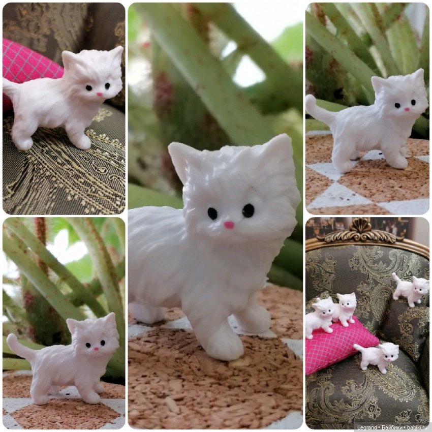 Лурения: перепись кошачьих - 2025 🤗