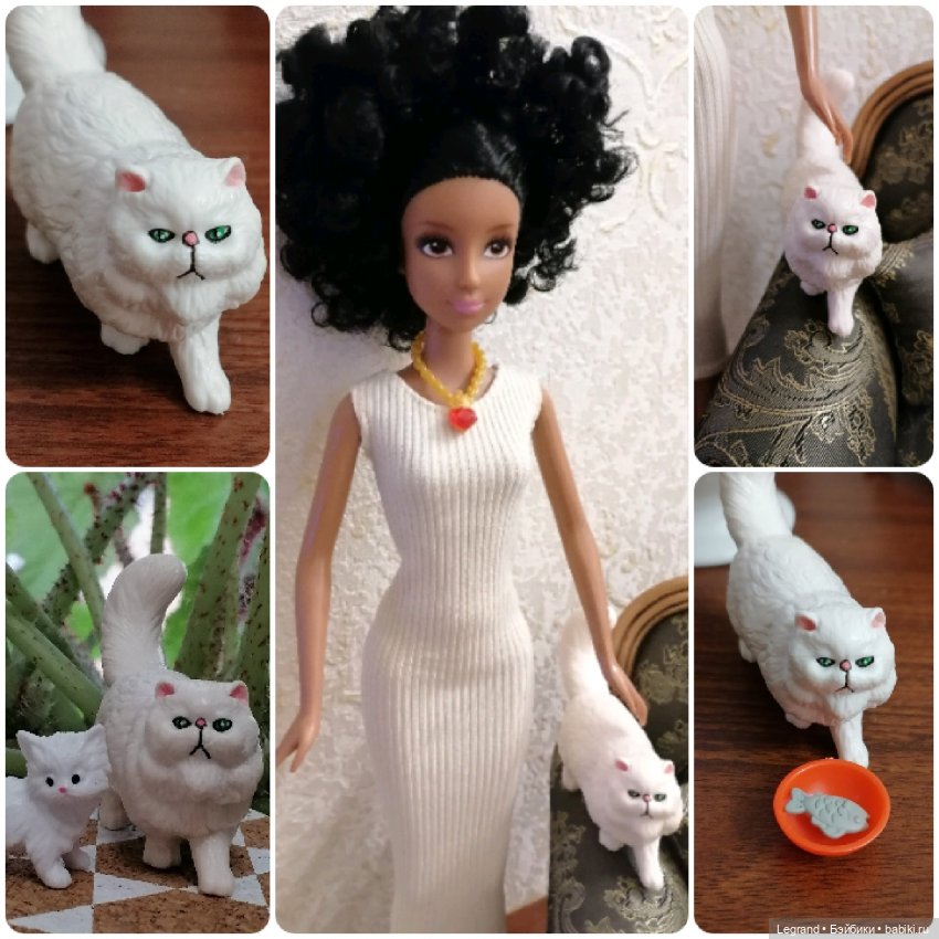 Лурения: перепись кошачьих - 2025 🤗