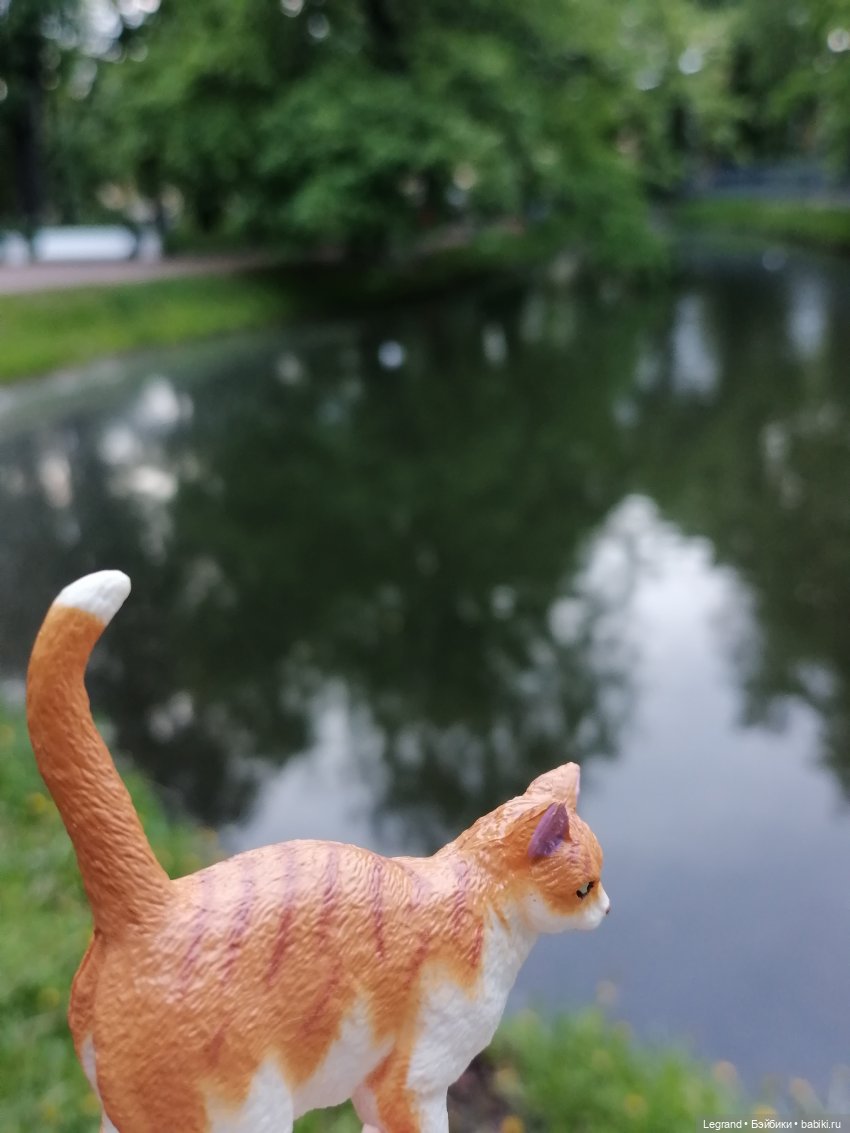 Лурения: перепись кошачьих - 2025 🤗