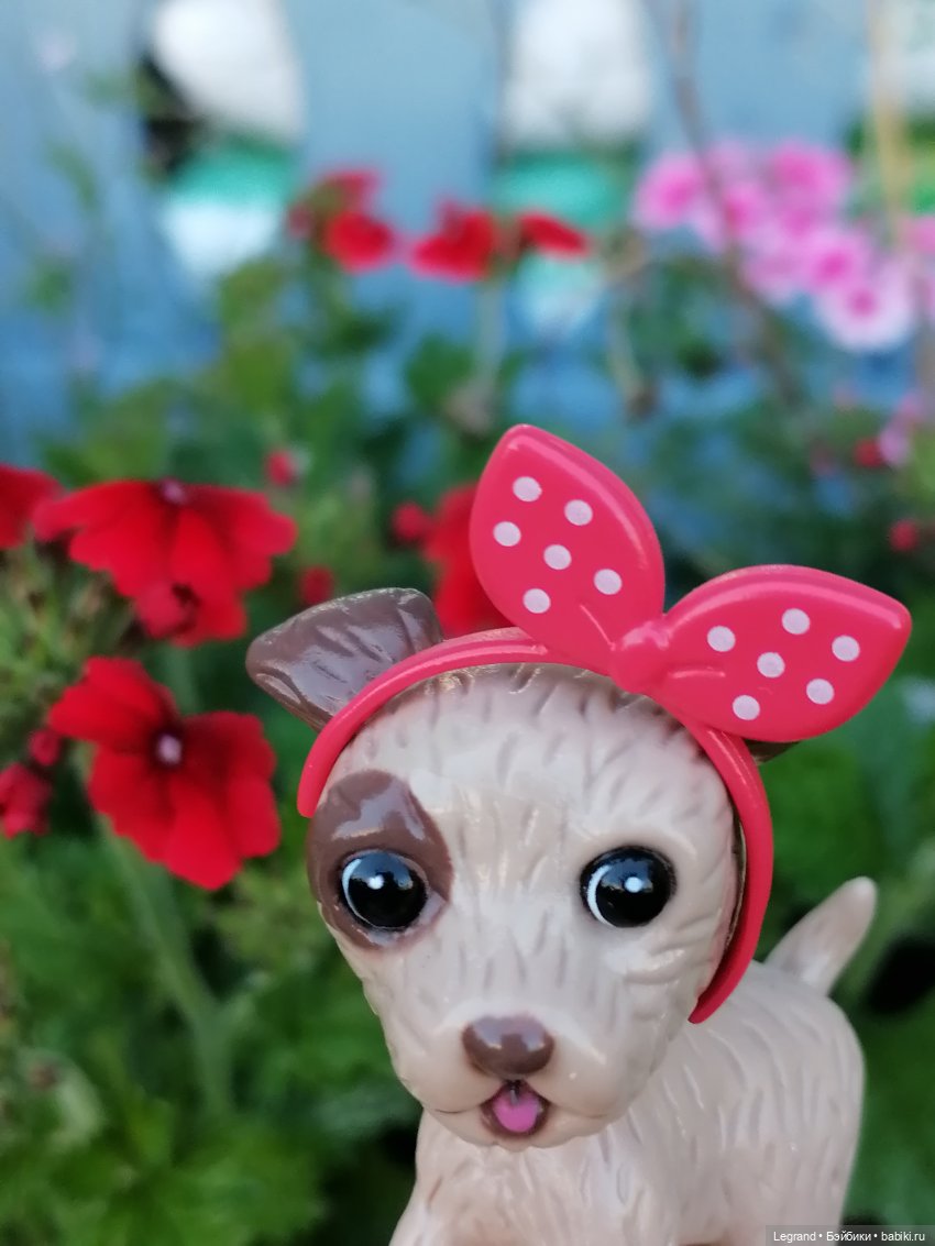 Лурения - Петербург: Лукум в Парадном (фото 7)