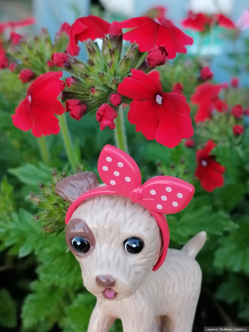 Лурения - Петербург: Лукум в Парадном