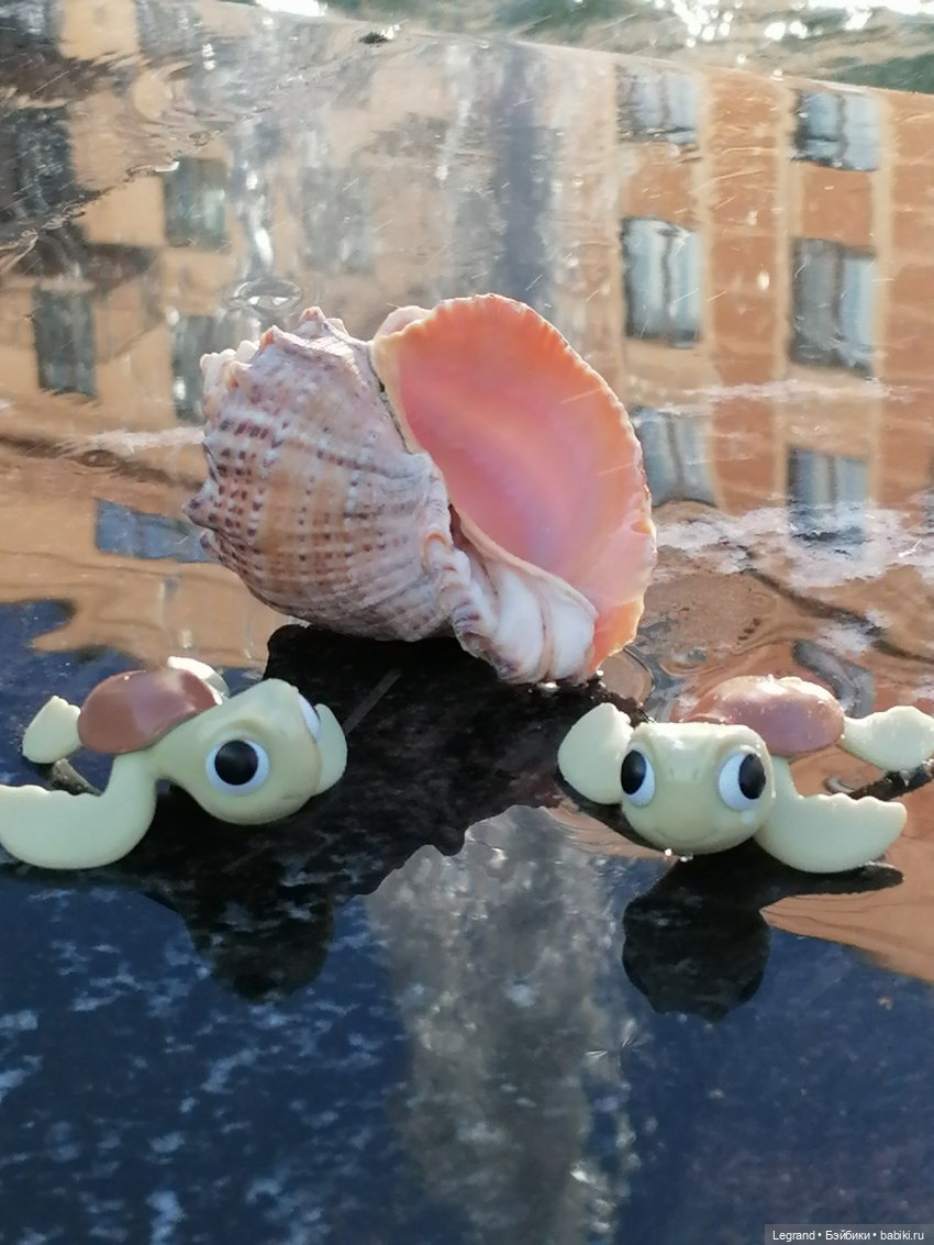 Лурения - Петербург: питомцы у фонтана