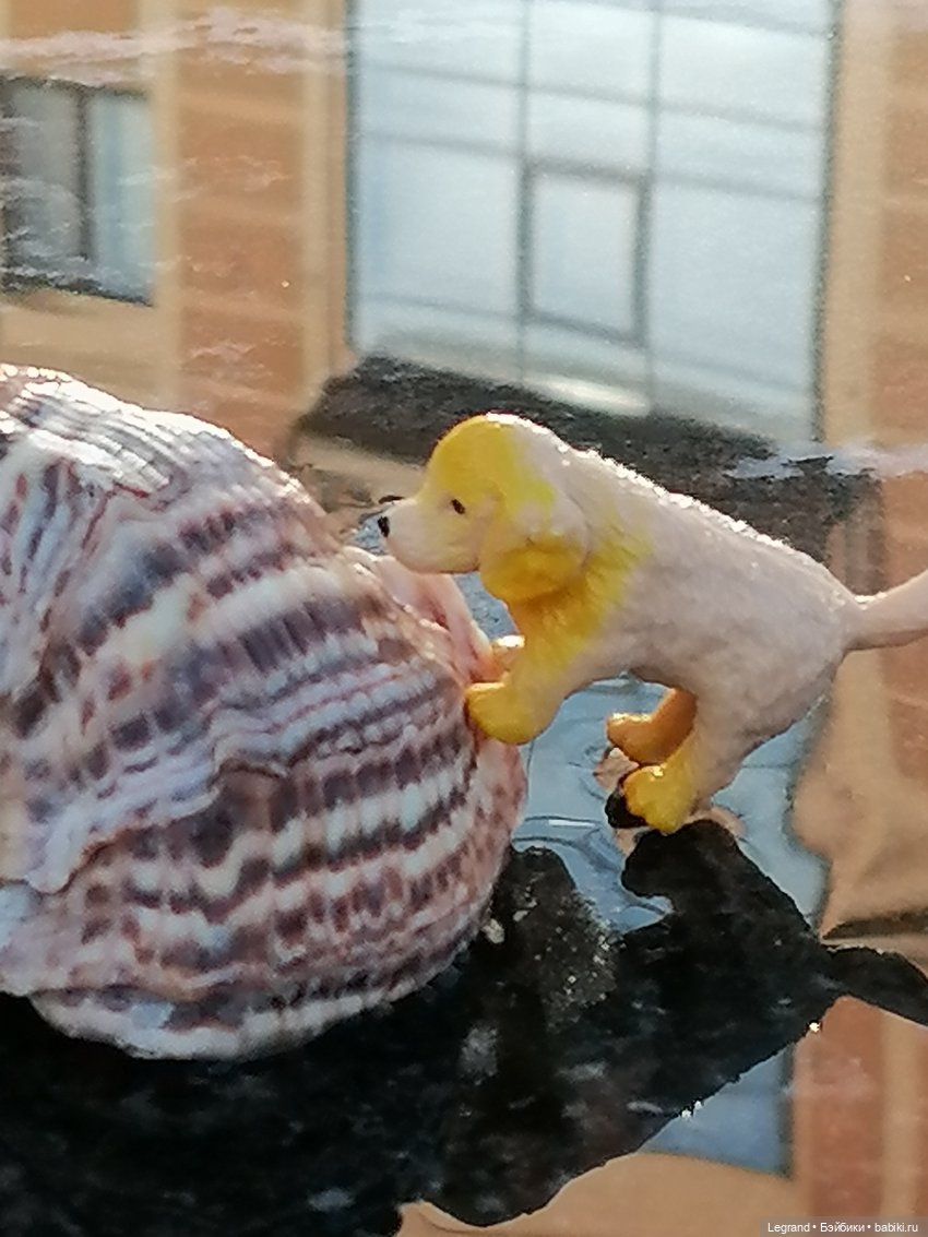 Лурения - Петербург: питомцы у фонтана (фото 9)