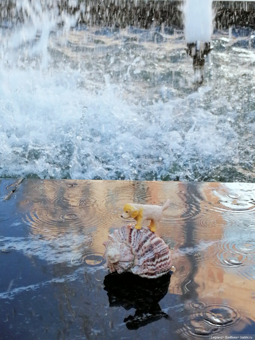 Лурения - Петербург: питомцы у фонтана (фото 8)