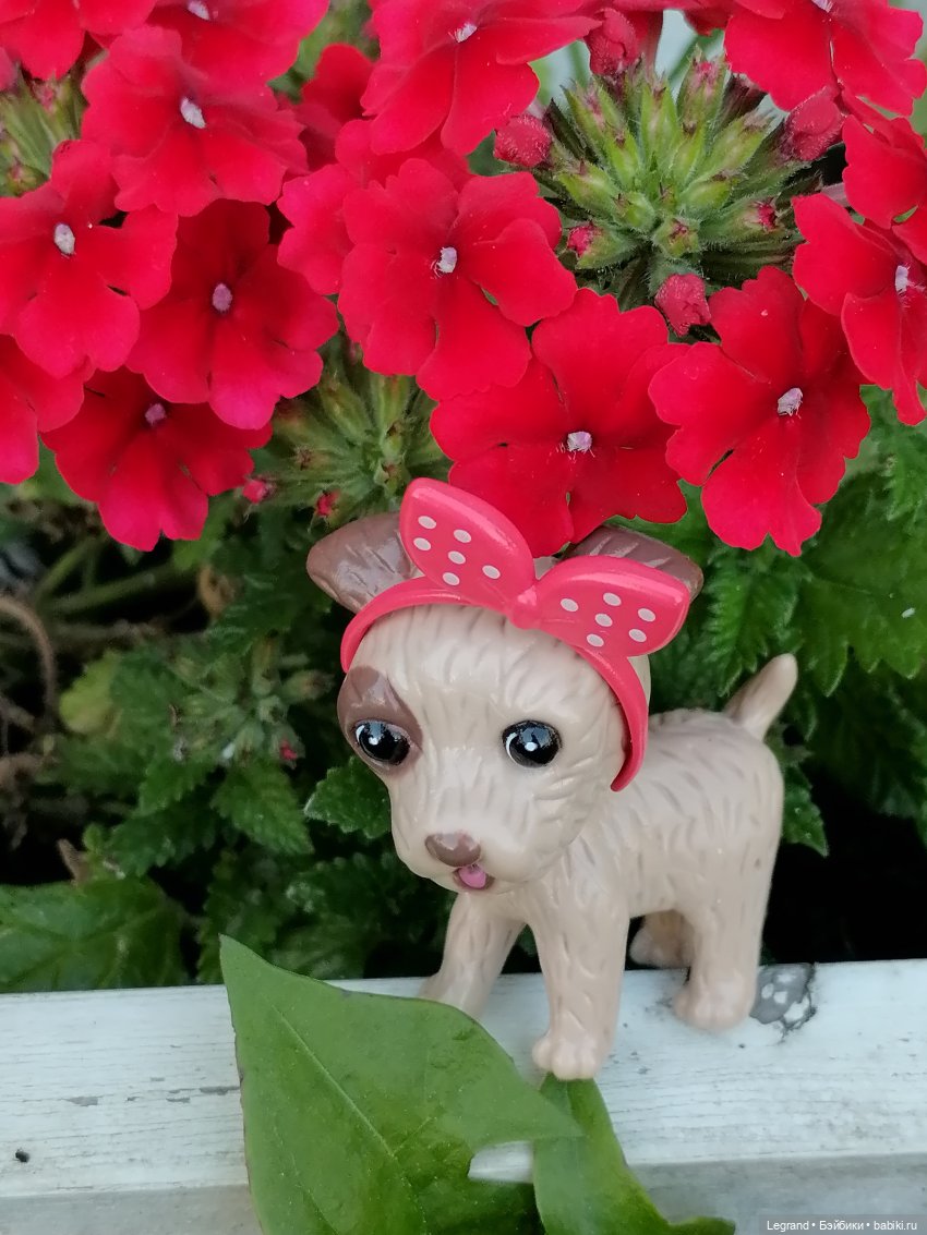 Лурения - Петербург: Лукум в Парадном