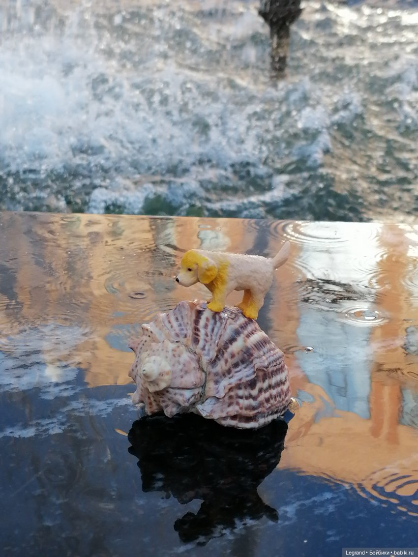 Лурения - Петербург: питомцы у фонтана (фото 7)