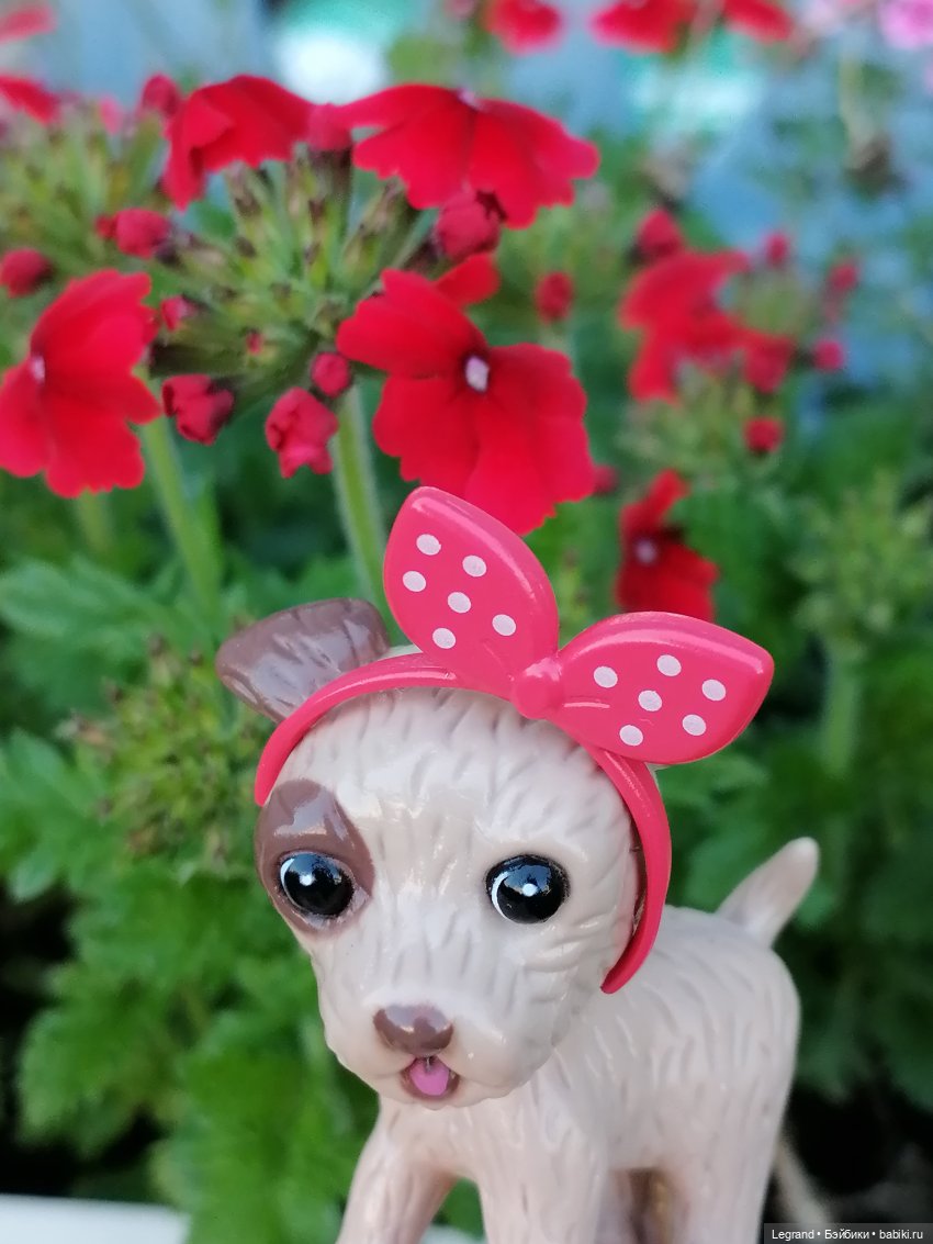 Лурения - Петербург: Лукум в Парадном