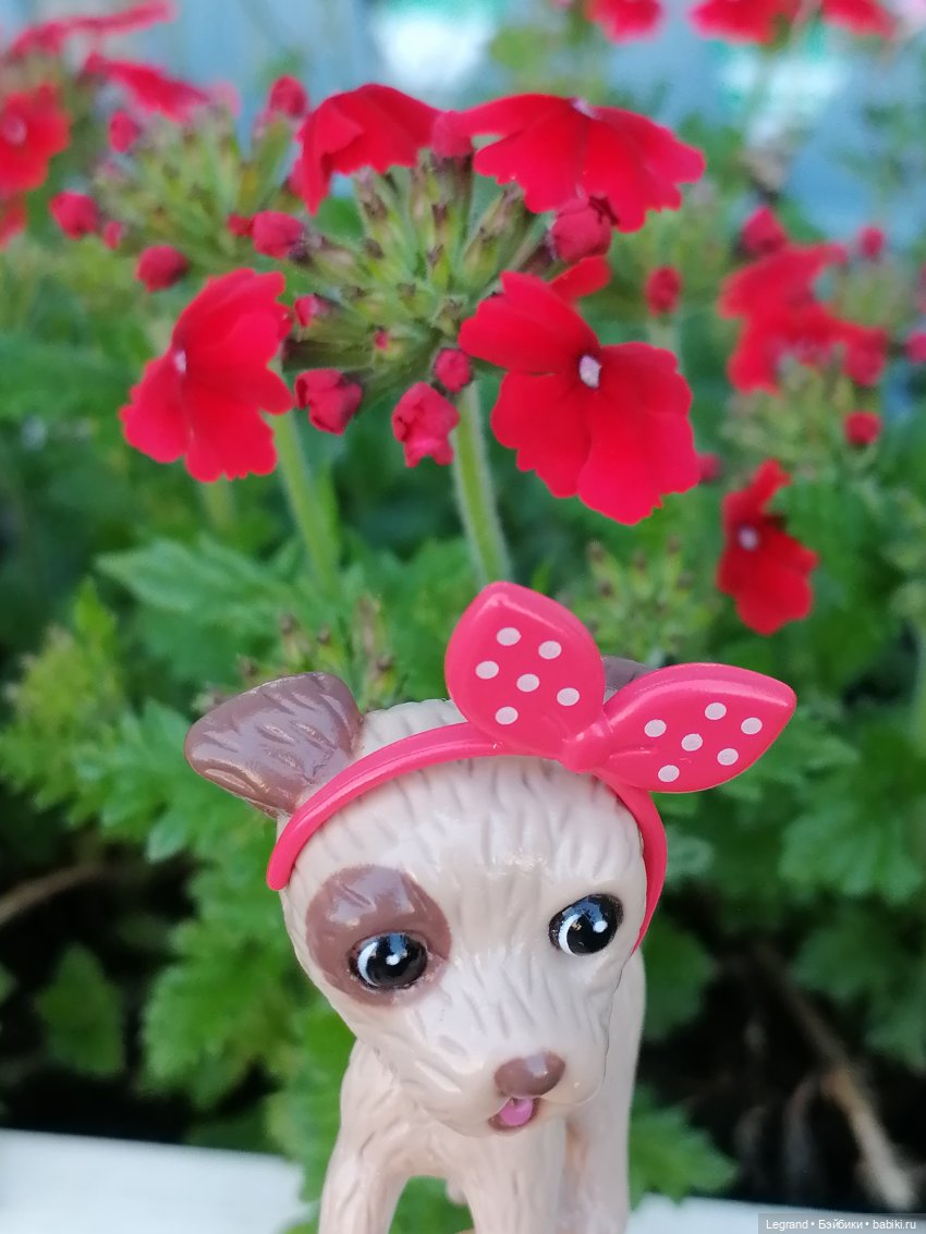 Лурения - Петербург: Лукум в Парадном (фото 10)