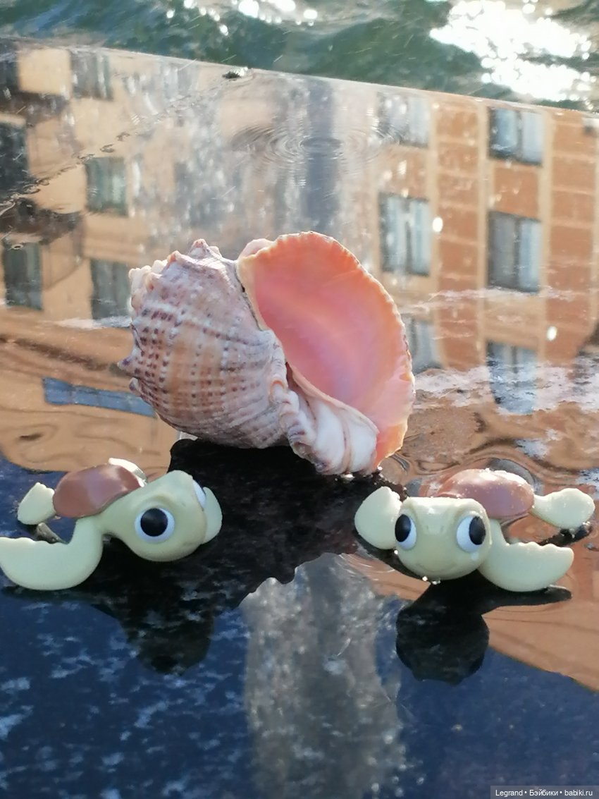 Лурения - Петербург: питомцы у фонтана