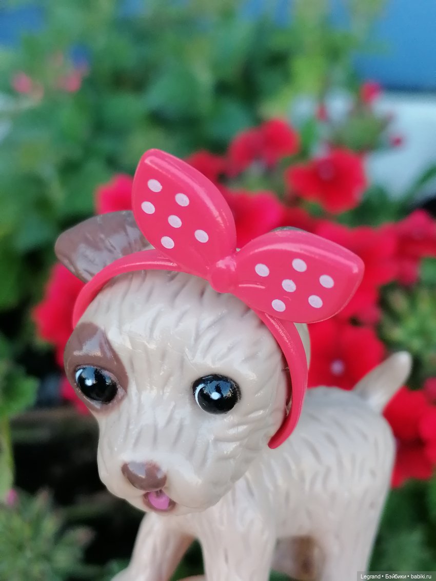 Лурения - Петербург: Лукум в Парадном