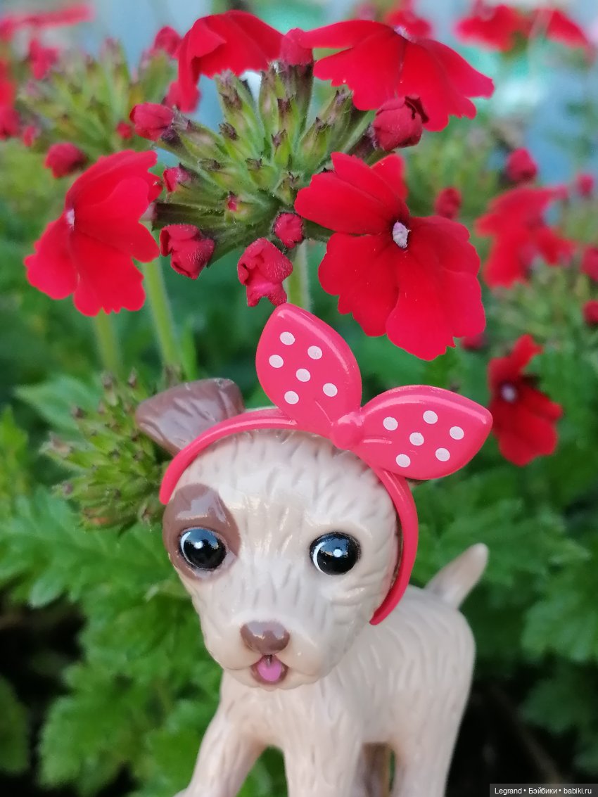 Лурения - Петербург: Лукум в Парадном