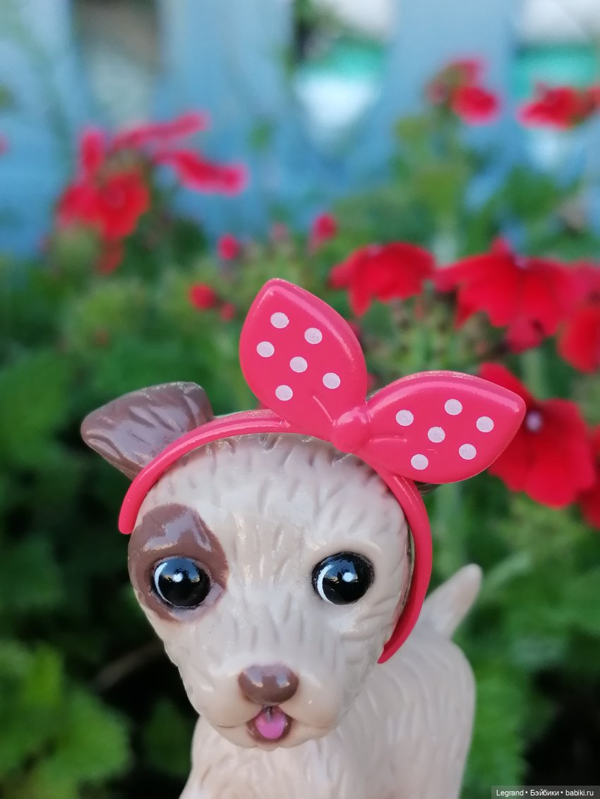 Лурения - Петербург: Лукум в Парадном (фото 2)