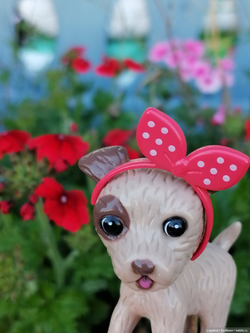 Лурения - Петербург: Лукум в Парадном (фото 8)