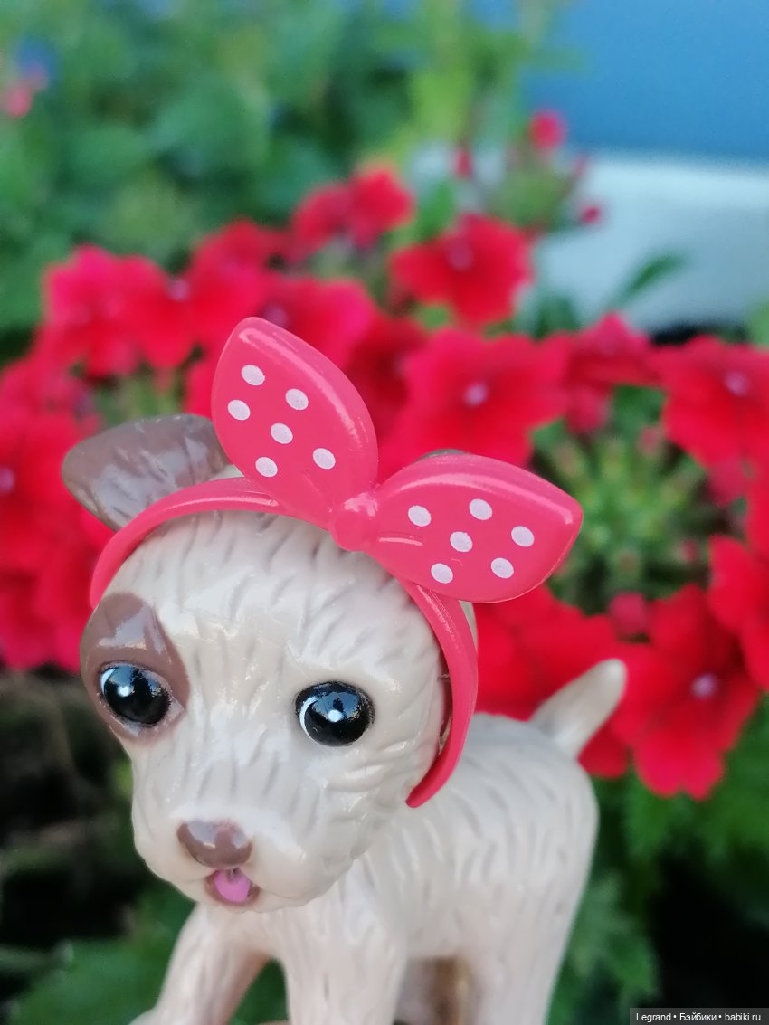 Лурения - Петербург: Лукум в Парадном