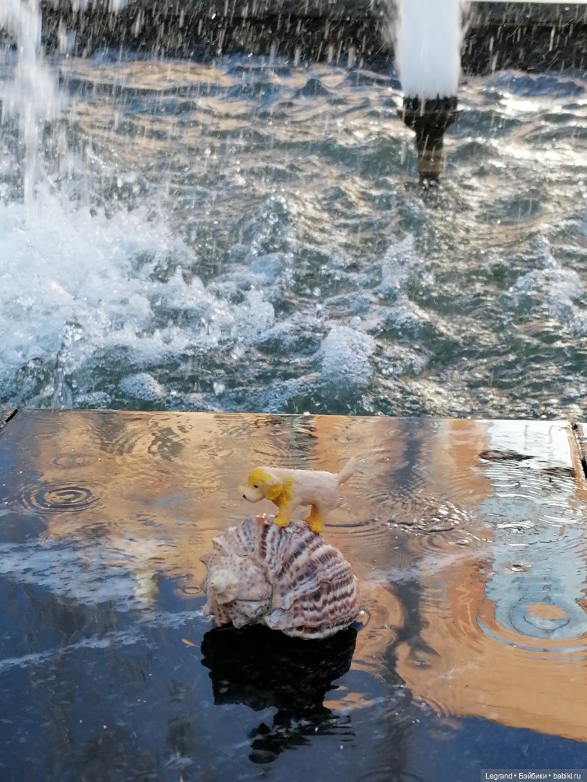 Лурения - Петербург: питомцы у фонтана (фото 6)