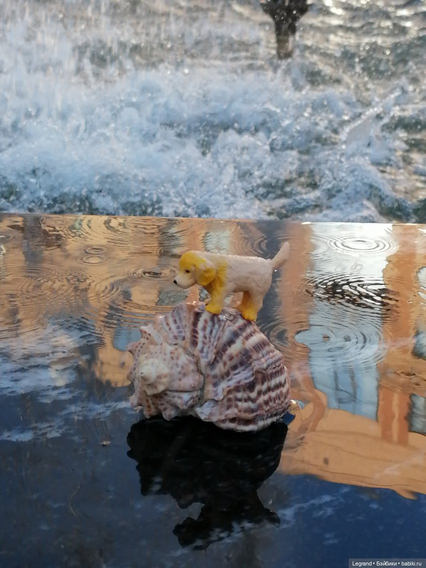 Лурения - Петербург: питомцы у фонтана (фото 5)