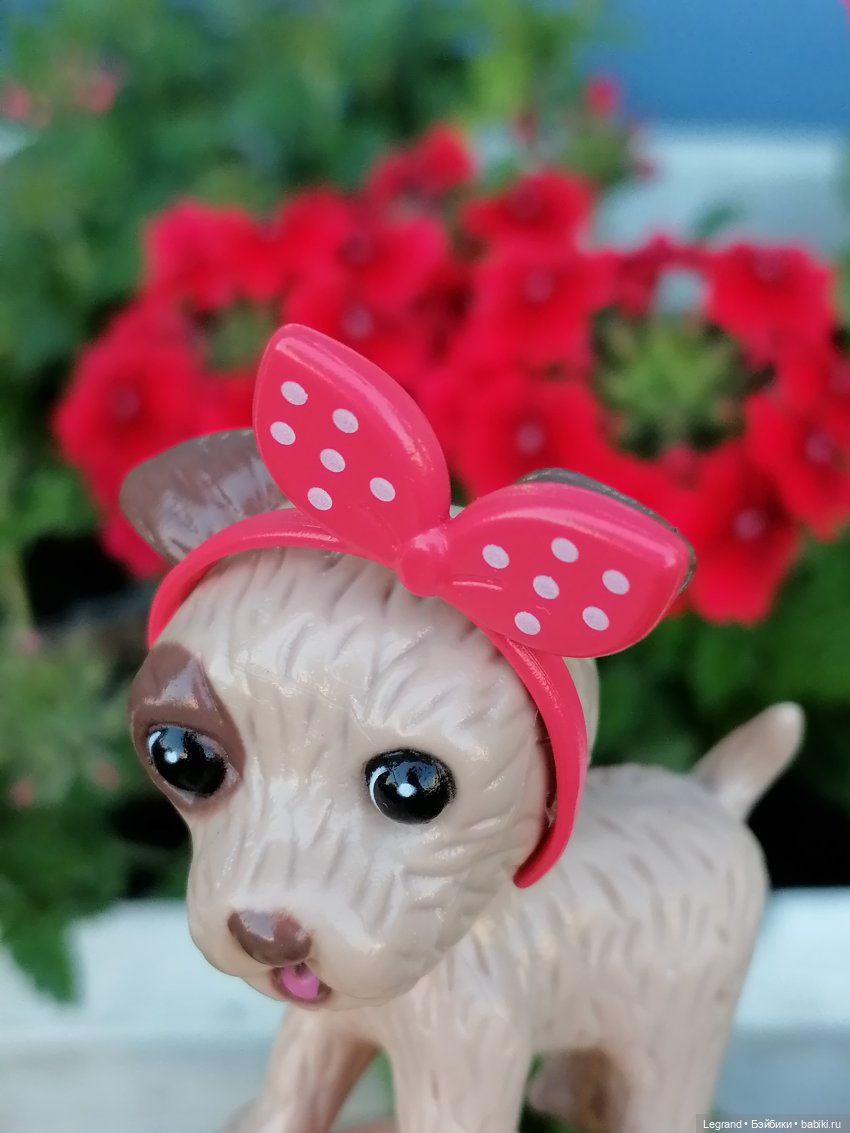 Лурения - Петербург: Лукум в Парадном