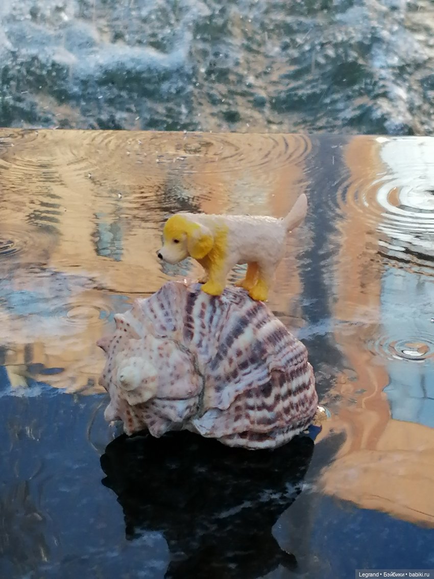 Лурения - Петербург: питомцы у фонтана (фото 2)