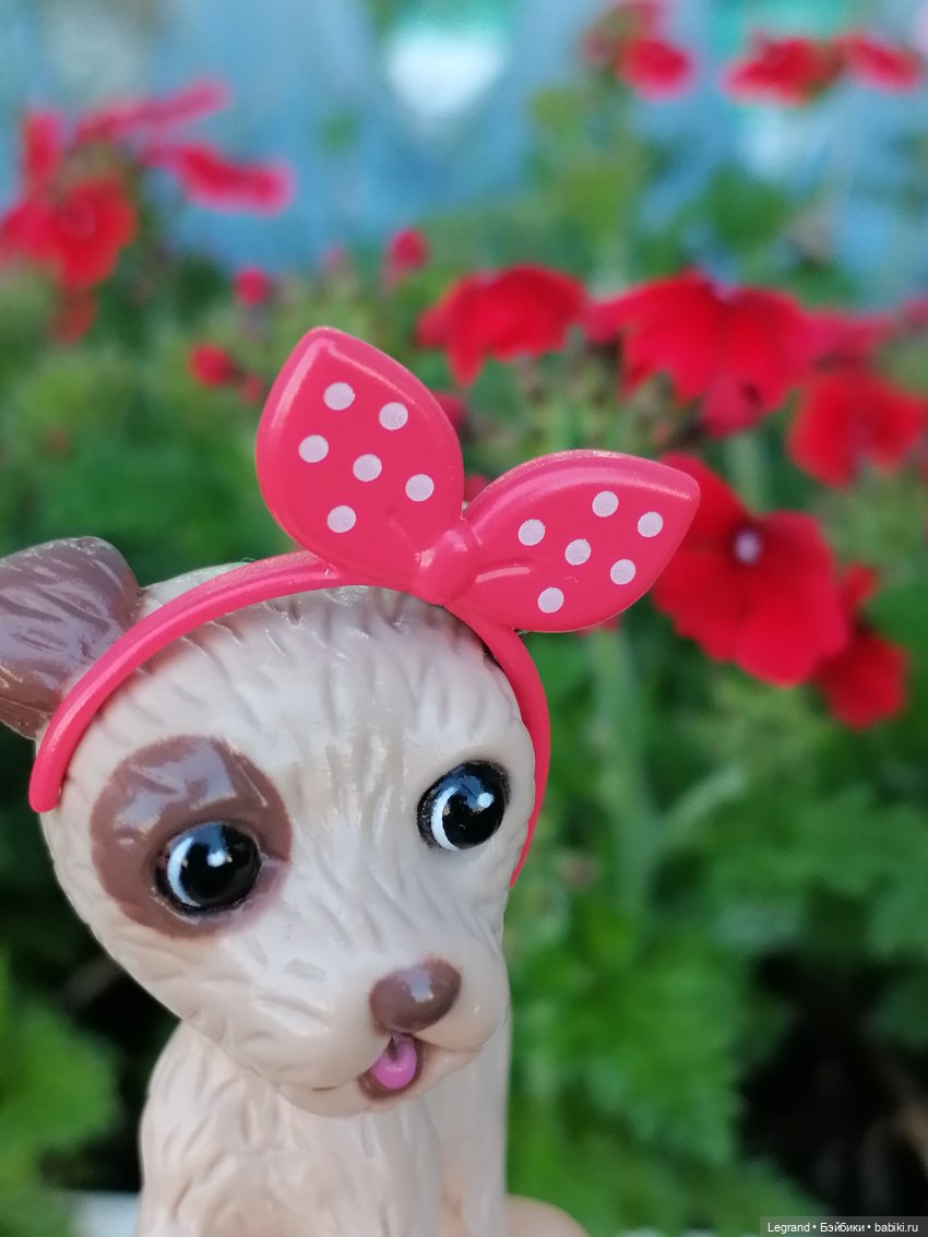 Лурения - Петербург: Лукум в Парадном