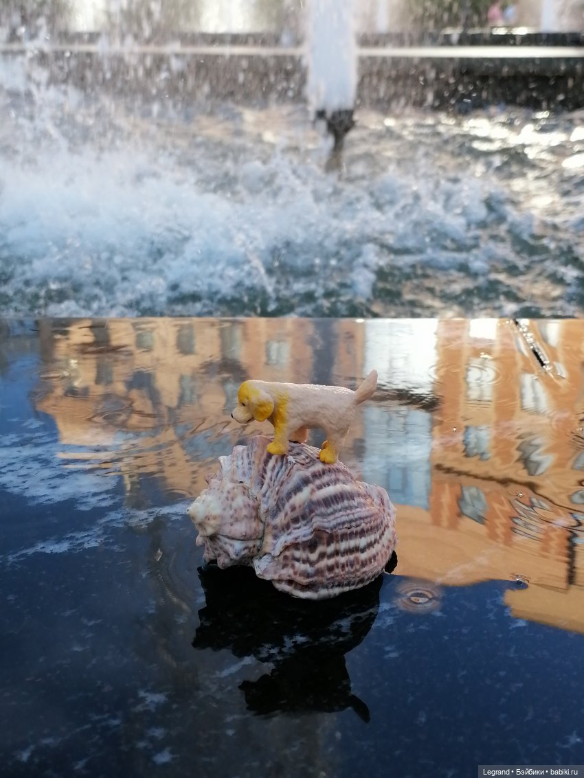 Лурения - Петербург: питомцы у фонтана (фото 4)