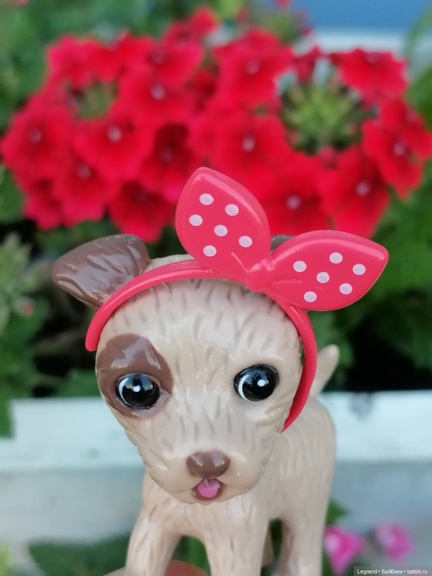 Лурения - Петербург: Лукум в Парадном