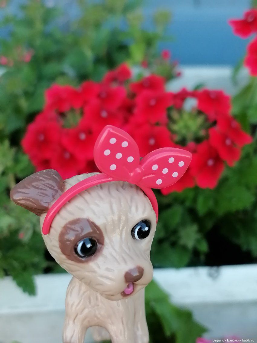 Лурения - Петербург: Лукум в Парадном