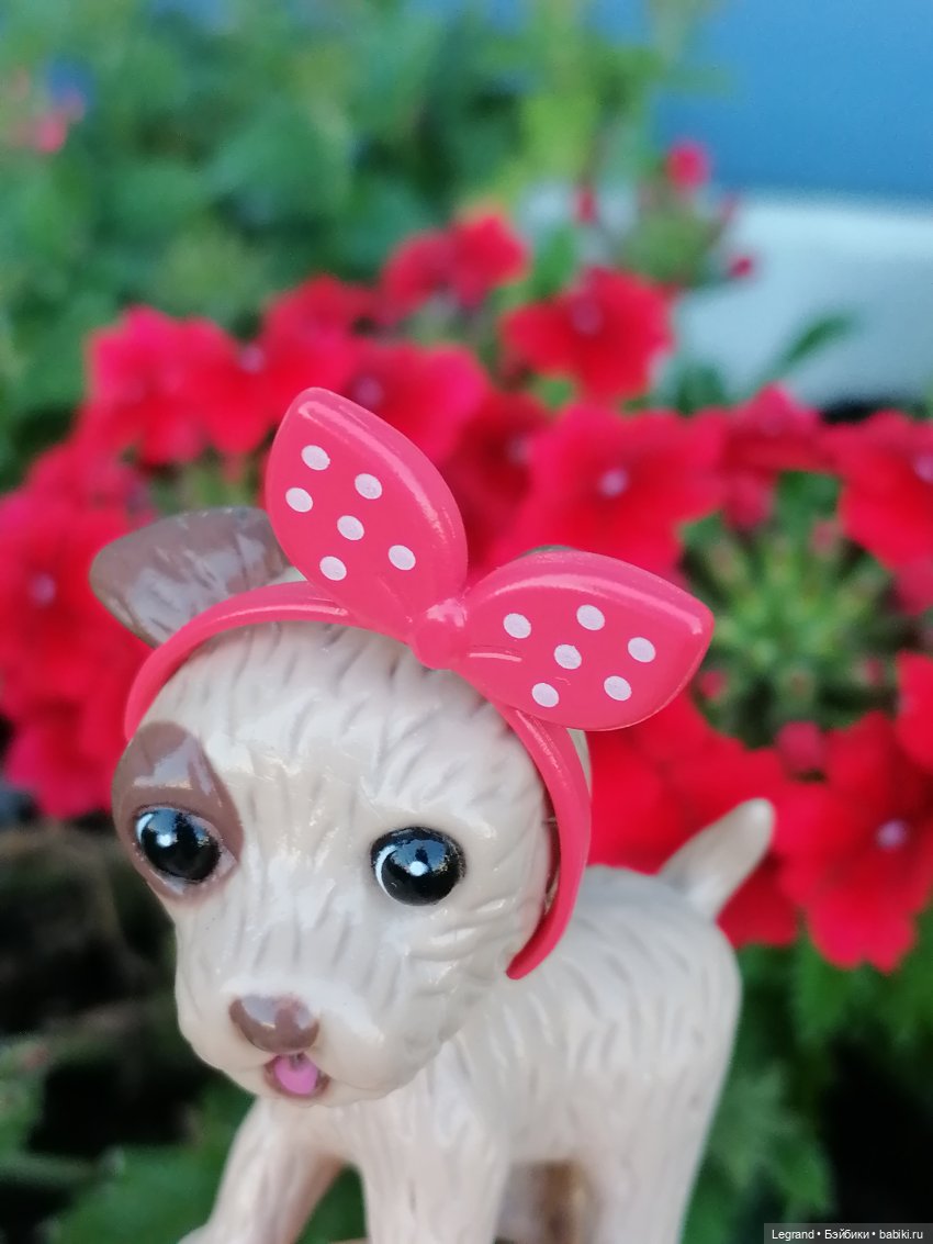 Лурения - Петербург: Лукум в Парадном