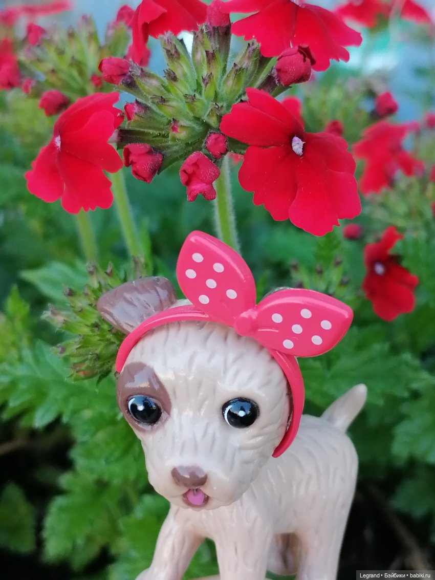 Лурения - Петербург: Лукум в Парадном