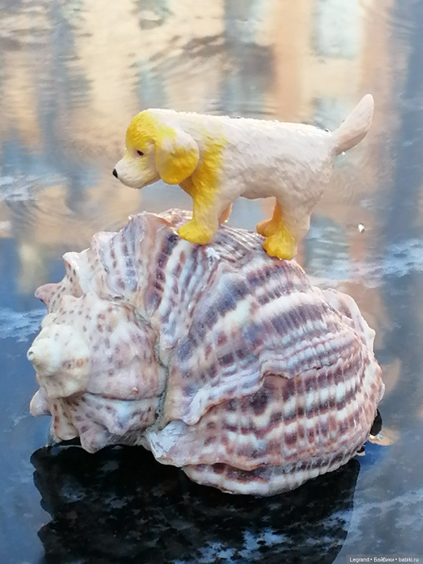 Лурения - Петербург: питомцы у фонтана